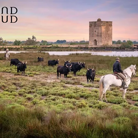 Coeur De Camargue - Terrasse Proche De La Apartamento Le Grau-du-Roi
